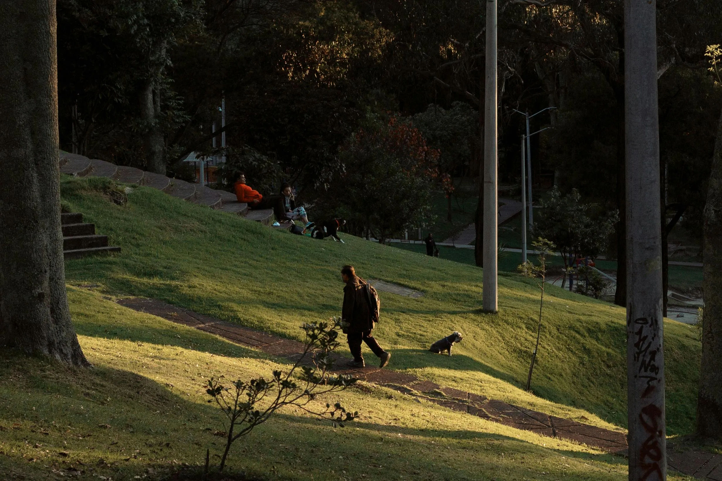 Persona dando un paseo en un parque