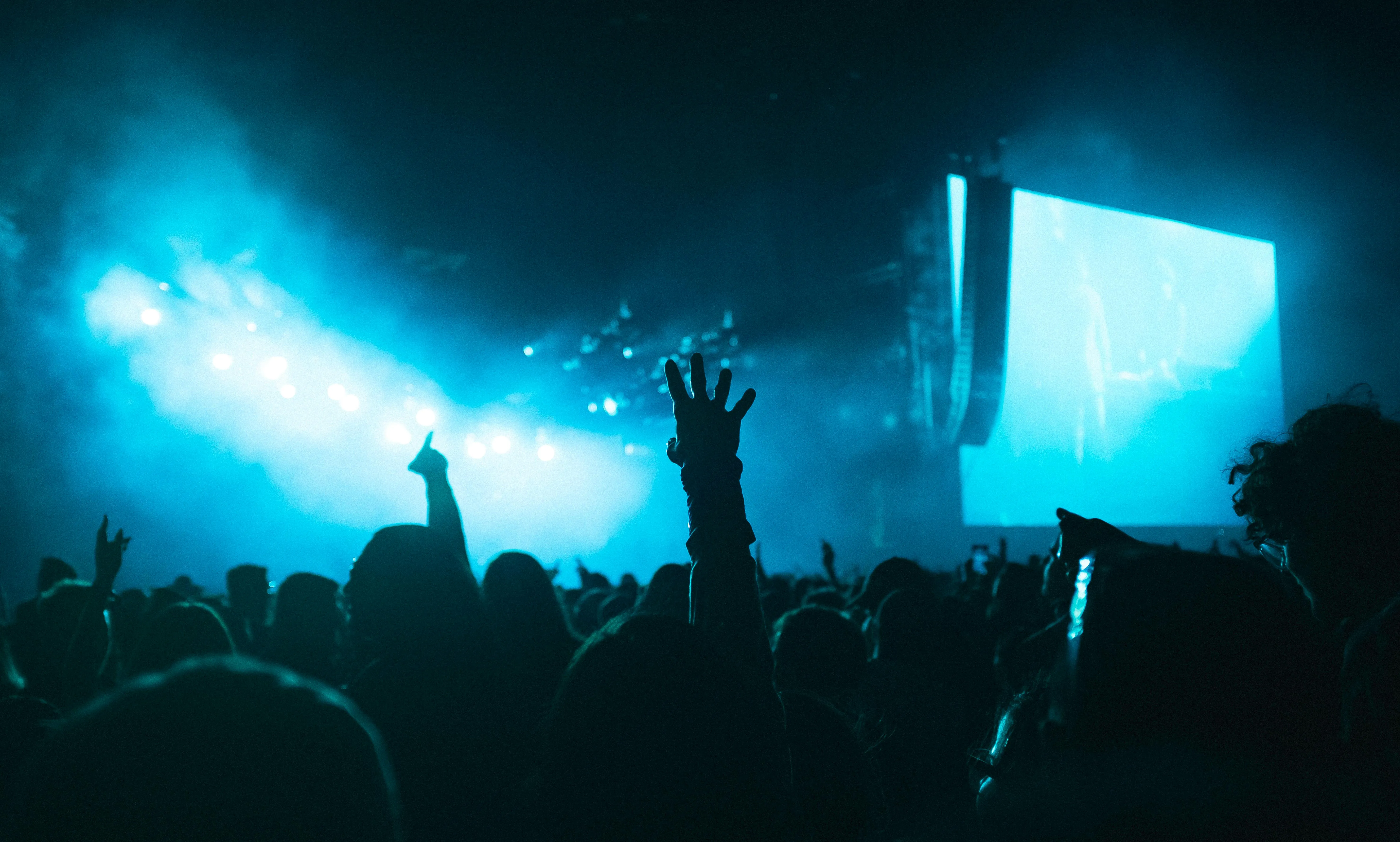 manos levantadas en un concierto