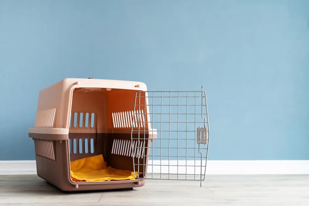 cabina para tansportar mascotas