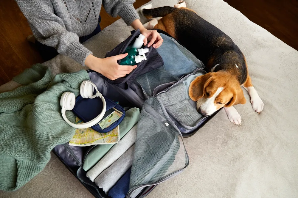 persona empacando maleta junto con su mascota